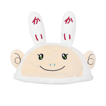 画像をギャラリービューアに読み込む, Hat / Kaikai