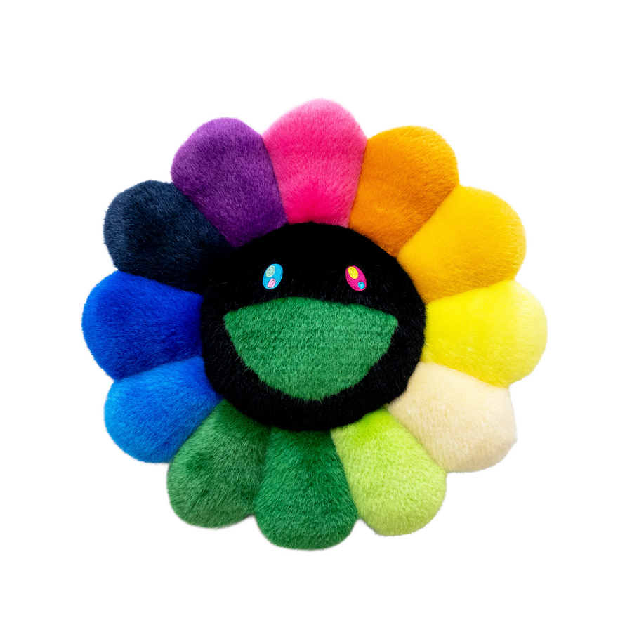 Flower Cushion Rainbow & Black